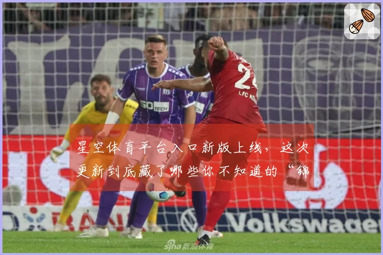 星空体育平台入口新版上线，这次更新到底藏了哪些你不知道的“锦囊妙计”？